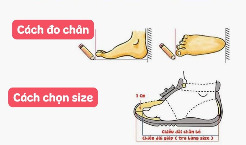 Minh họa chi tiết các bước đo chiều dài bàn chân bé trên giấy, giúp xác định size giày chính xác cho trẻ.