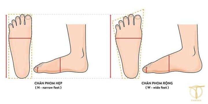 Người đang đo chiều dài bàn chân để xác định size giày US