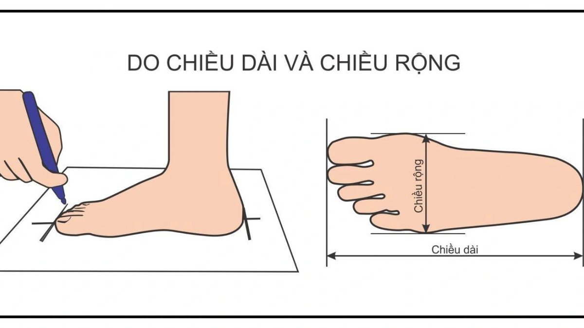 Người đang đo chiều dài và chiều rộng bàn chân