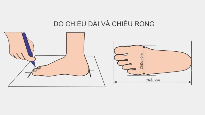 Quy trình đo chiều dài và độ rộng bàn chân để xác định size giày nam
