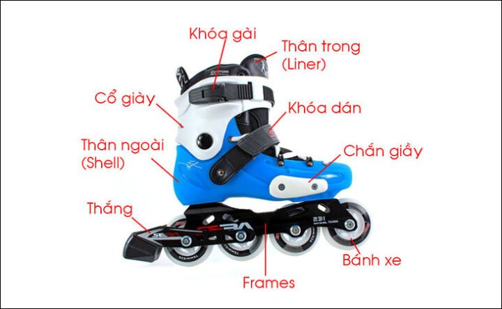 Sơ đồ cấu tạo chi tiết của giày thể thao trượt patin một hàng bánh (Inline Skates) với các bộ phận chính như thân, khung và bánh xe.
