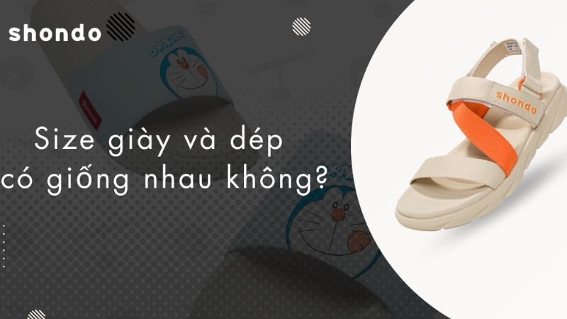 Sự khác biệt rõ rệt giữa size giày và size dép