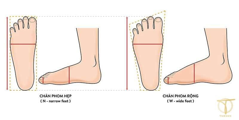 Tổng quan về hệ thống bảng size giày US, giải thích khái niệm size giày 7 US.