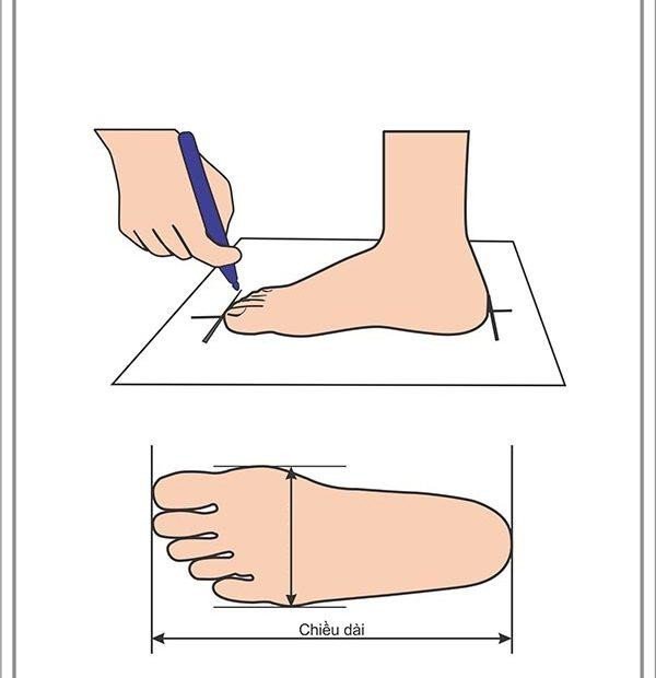 Vẽ phác thảo bàn chân để xác định size giày Guess nữ